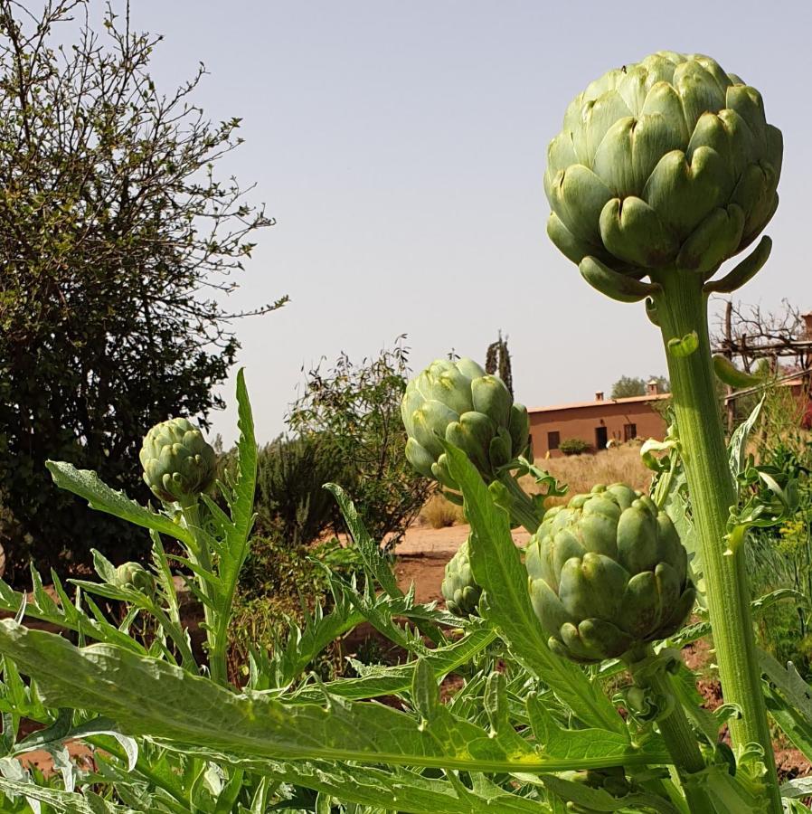 Dar Tasmayoun Aït Ourir Dış mekan fotoğraf